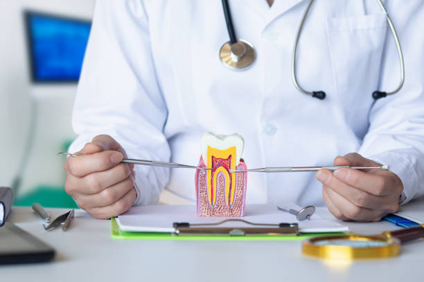 Best Weekend Emergency Dentist in Bad Axe, MI